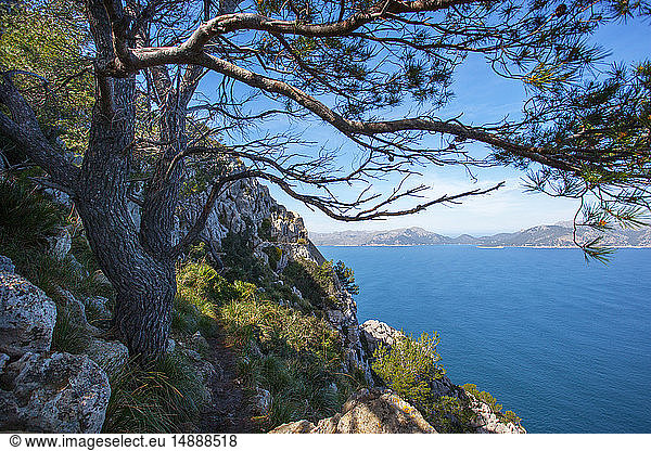 Spanien  Balearen  Mallorca  Halbinsel Alcudia  Wanderweg nach Penya del Migdia