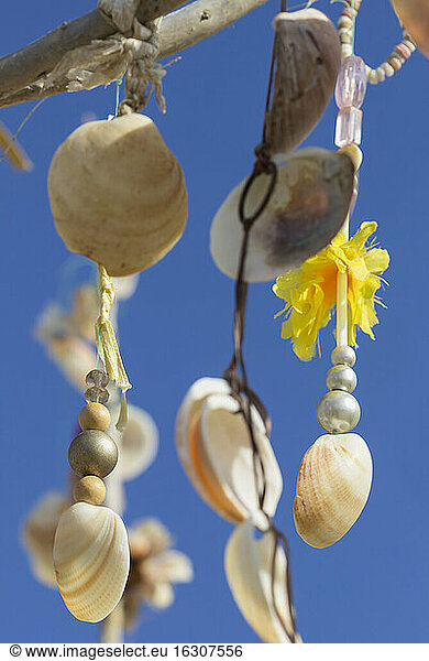 Spanien  Balearische Inseln  Formentera  Wunschbaum mit Muscheln