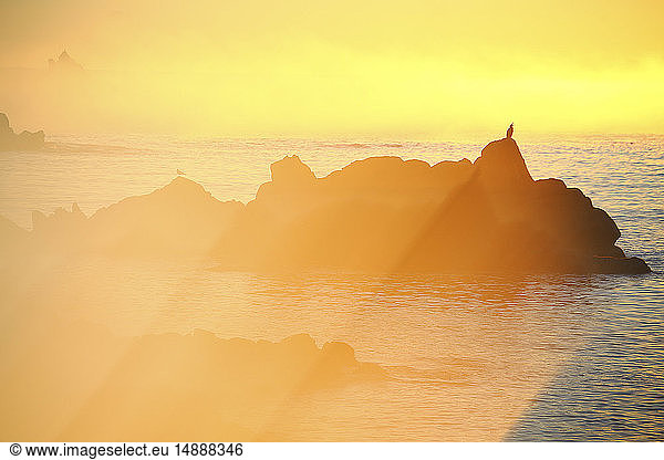 Spanien  Cala S'Alguer  Costa Brava  Sonnenuntergang an der Küste