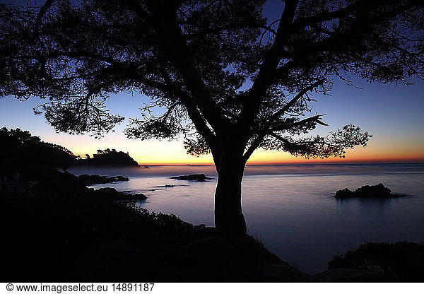 Spanien  Cala S'Alguer  Costa Brava  Sonnenuntergang an der Küste