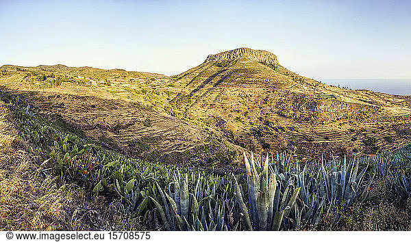 Spanien  Kanarische Inseln  La Gomera  Agavenanbau mit Tafelberg im Hintergrund