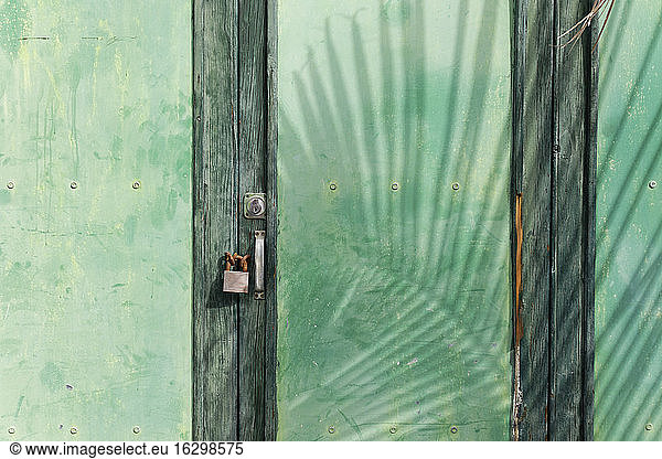 Spanien  Kanarische Inseln  La Palma  Grüne Holztür mit Vorhängeschloss und Schatten eines Palmenblattes