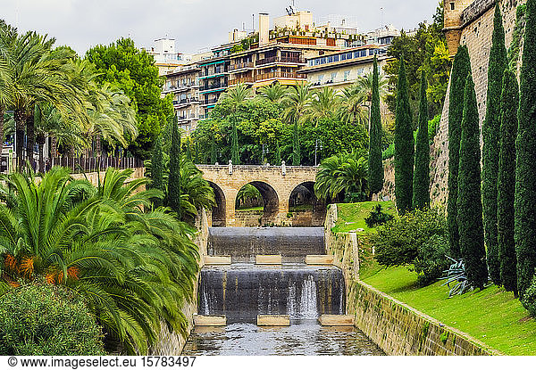 Spanien  Mallorca  Palma  Bäume und Gewässer in der Stadt