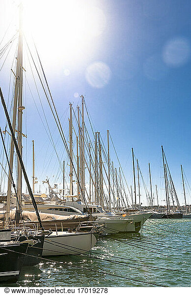 Spanien  Mallorca  Palma de Mallorca  Sonne scheint über Segelboote im Hafen