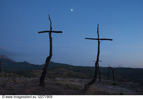 Spanien  Manresa  verbrannter Wald mit Symbolen von Kreuzen am Morgen
