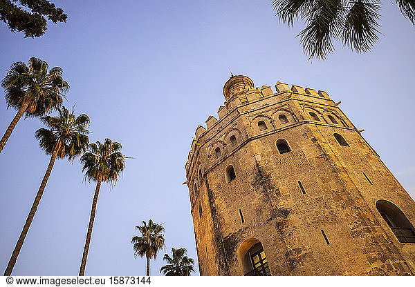 Spanien  Sevilla  Torre Del Oro  Niedriger Blickwinkel auf Torre del Oro und Palmen