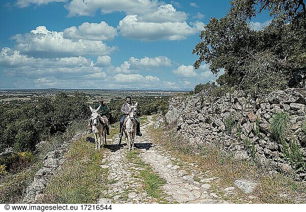 Spanische Reiter auf Maultier  Extremadura  Spanien  Europa