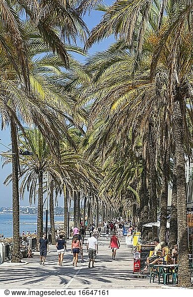 Spaziergänger auf dem Paseo Maritimo  der Strandpromenade  in Marbella  Costa del Sol  Provinz Malaga  Andalusien  Südspanien.