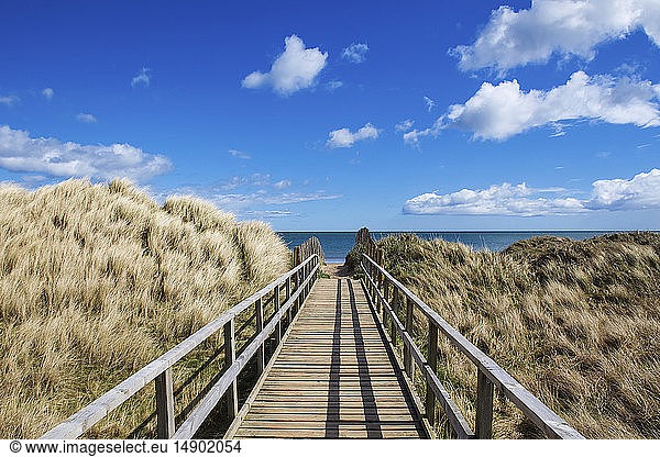 Spaziergang am West Sands Beach mit Blick auf das blaue Meer und den Horizont; St. Andrews  Fife  Schottland