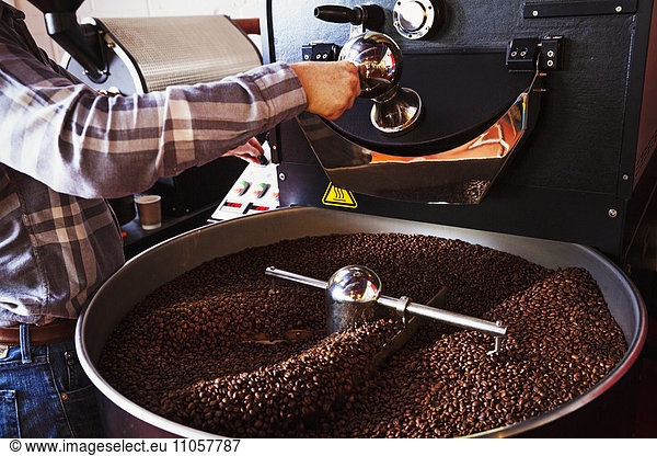 Specialist coffee shop. Coffee beans roasting in a drum  being stirred with a metal paddle.