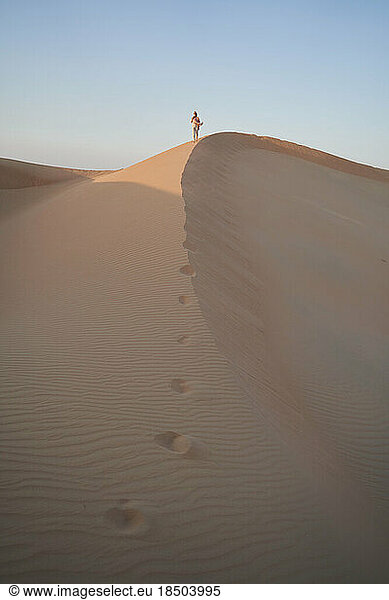 Spectacular vertical shot with a woman walking by sand dine in desert.