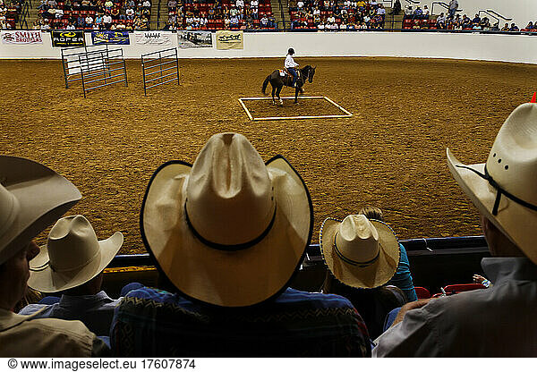 Spectators watch the Extreme Mustang Makeover competition; Fort Worth  Texas  United States of America