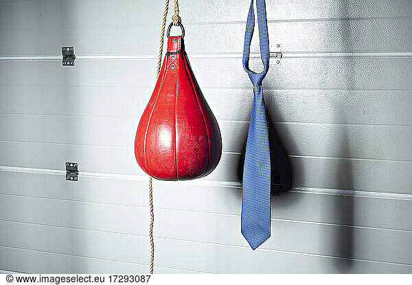 Speed bag and necktie hanging in front of garage door