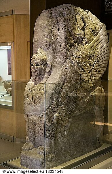 Sphinx from Hattusha  Museum in Bogazkale  finds from the Hittite period  Turkey  Bogazkale  Turkey  Asia