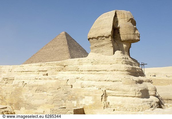 Sphinx  Giza  UNESCO Weltkulturerbe  in der Nähe von Kairo  Ägypten  Nordafrika  Afrika