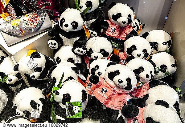 Spielzeugpandas  die in einem Duty-Free-Shop am Beijing Capital International Airport  Peking  China  verkauft werden.