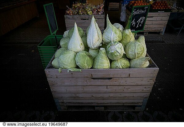 Spitzkraut  Spitzkohl  Auslage  Marktstand  Hofladen  Direktverkauf  Stuttgart  Baden-Württemberg  Deutschland  Europa