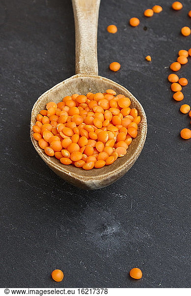 Split red lentils on wooden spoon  close up