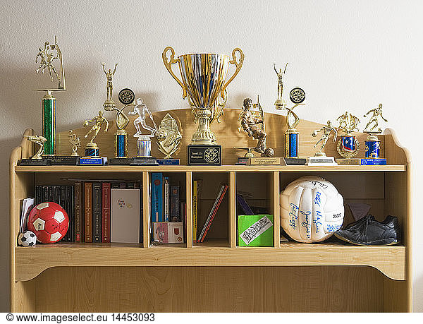 Sports trophies  balls and books on shelves