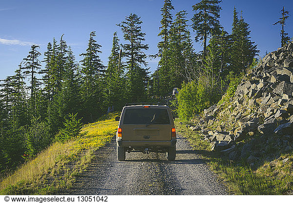 Sports Utility Vehicle on dirt road against trees at Mount Rainer National Park