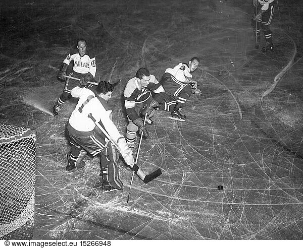 sports  winter sports  ice hockey  game of the Philidelphia Ramblers  1950s