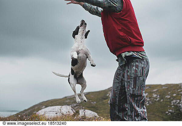 Spotty dog jumps in air in mountain ocean view in Scotland
