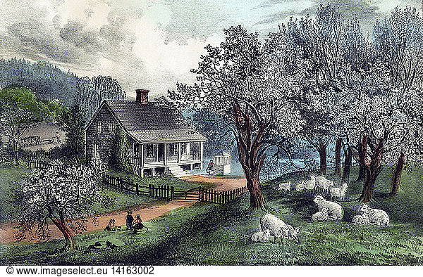 Spring  American Homestead  1869