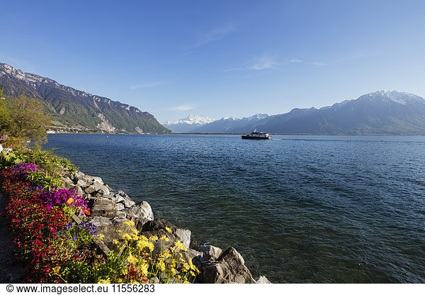 Spring flowers  Lake Geneva (Lac Leman)  Montreux  Vaud  Switzerland  Europe