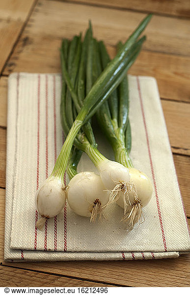 Spring onions on napkin  close up