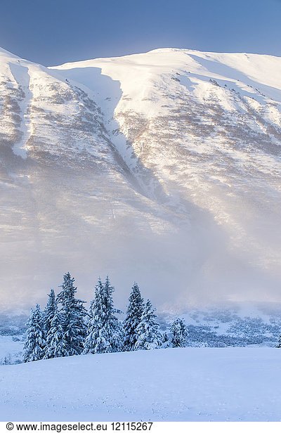Spruce trees covered in fresh snow stand in front of a birch tree forest blanketed in white snow  the mountainsides of Turnagain Pass bathed in warm light in the background  Kenai Peninsula  South-central Alaska; Alaska  United States of America