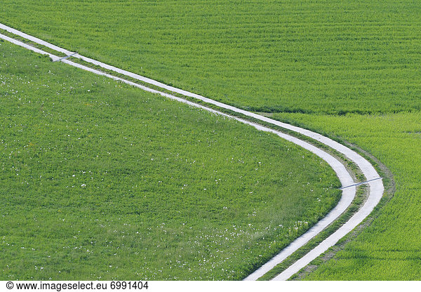Spur Feld Schweiz Kanton Bern