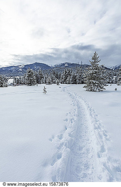 Spuren im Schnee