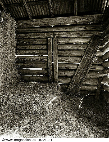 Square bails of hay inside of a barn in rural East Texas.