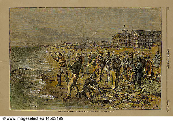 Squidding for Blue-Fish at Asbury Park  Drawn by Theo. R. Davis  Harper's Weekly  July 3  1880