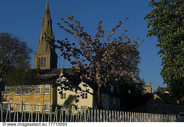 St Mary's Church Viewed From The River Welland; Stamford  Lincolnshire  England