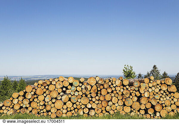 Stack of spruce logs lying outdoors