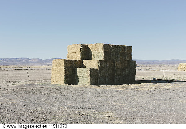 Stacked hay bales in rural Nevada  USA.