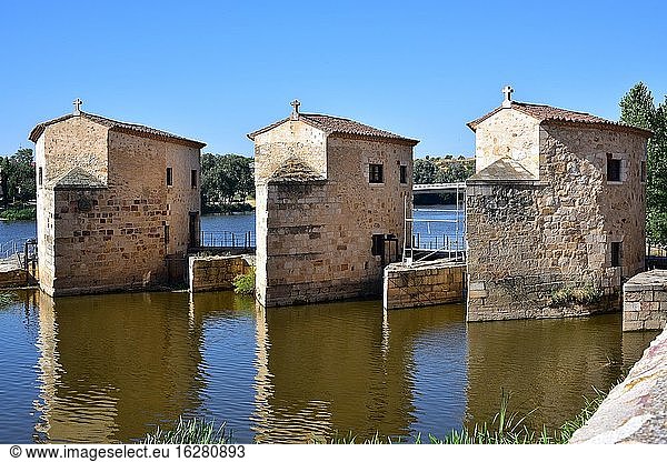 Stadt Zamora  Fluss Duero mit Ace?as de Olivares. Kastilien und Leon  Spanien.