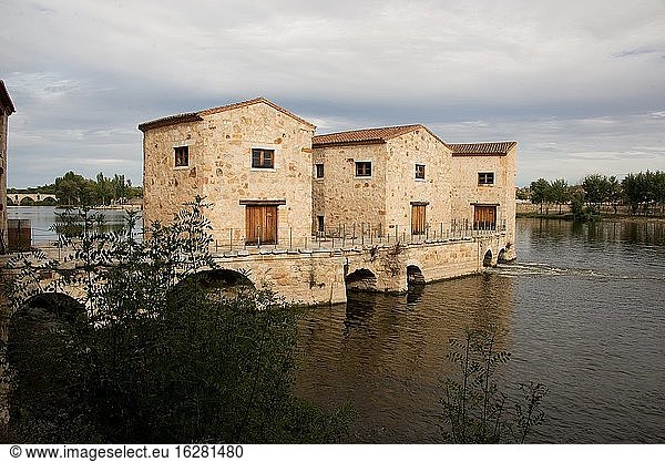 Stadt Zamora  Fluss Duero mit Ace?as de Olivares. Kastilien und Leon  Spanien.