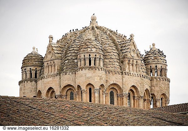 Stadt Zamora  Kathedrale (romanisches 12. Jahrhundert). Regenschirm-Kuppel (Cupula gallonada). Kastilien und Leon  Spanien.