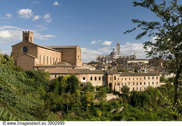 Stadtansicht mit Basilika San Domenico und Dom Duomo Santa Maria Assunta  Siena  UNESCO-Weltkulturerbe  Toskana  Italien  Europa