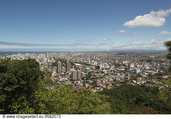 Stadtansicht Stadtansichten Baum Ignoranz Brasilien