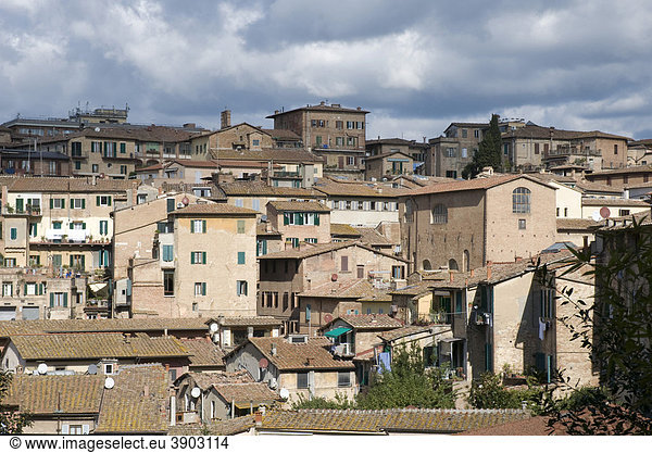 Stadtansicht von Siena  Toskana  Italien  Europa