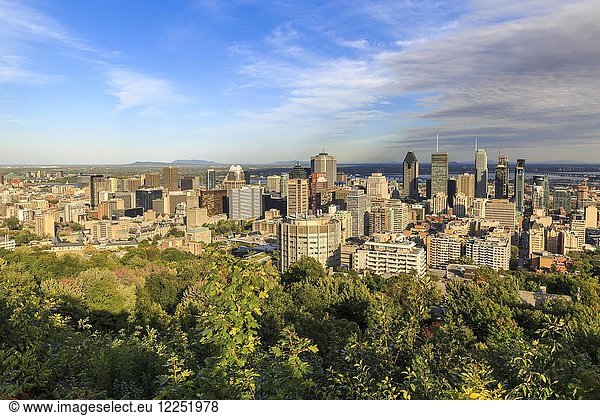 Stadtbild  Blick vom Mont Royal  Montreal  Québec  Kanada  Nordamerika