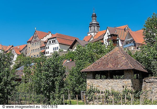 Stadtbild mit historischer Stadtmauer und St. Martin Kirche  Gochsheim  Baden-Württemberg  Deutschland  Europa.