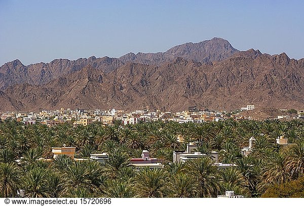 Stadtbild  Palmenoase  Nizwa  Ad Dakhiliyah  Oman  Asien