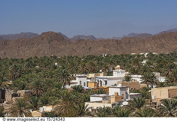 Stadtbild  Palmenoase  Nizwa  Ad Dakhiliyah  Oman  Asien