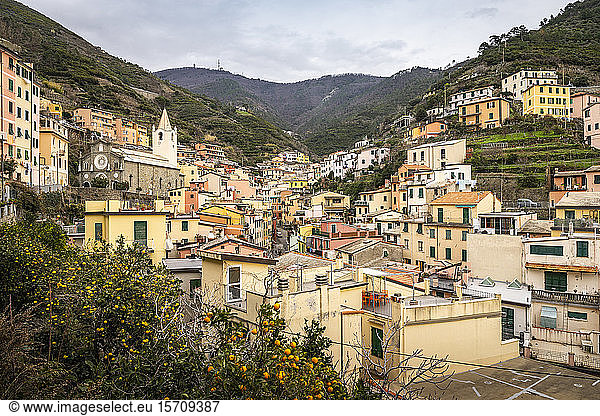 Stadtbild von Riomaggiore  Ligurien  Italien
