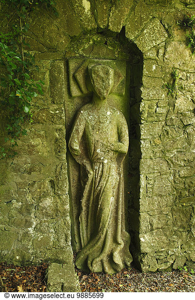 Stadtmauer Figur Bildhauerei Cashel County Tipperary Irland alt