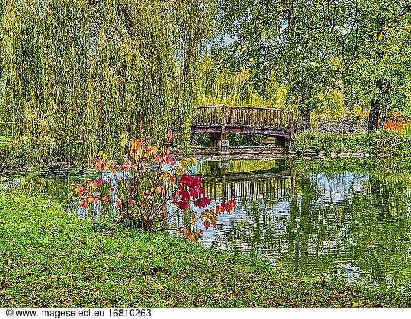 Stadtpark im Herbst  Lauzun  Departement Lot-et-Garonne  Nouvelle-Aquitaine  Frankreich.